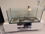 Aquarium 120B x 40D x 50H - 240L - inclusief stenen en hout, Dieren en Toebehoren, Ophalen, Gebruikt, Leeg aquarium