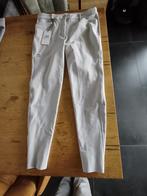 Ego7 Paardrijbroek, Dieren en Toebehoren, Paardrijkleding, Ophalen of Verzenden, Dames, Bovenkleding, Nieuw