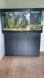 Aquarium Juwel 350, Dieren en Toebehoren, Vissen | Aquaria en Toebehoren, Ophalen of Verzenden, Zo goed als nieuw, Gevuld zoetwateraquarium