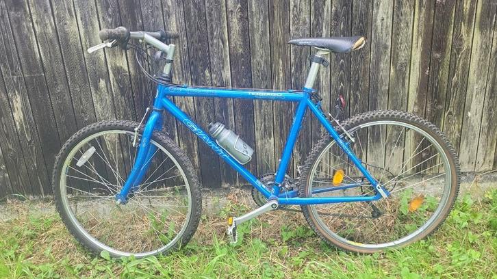 Giant crossfiets, Fietsen en Brommers, Fietsen | Crossfietsen en BMX, Gebruikt, 20 tot 24 inch, Staal, Ophalen