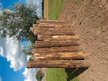 Robinia palen afrastering hoekpaal schutting  beschikbaar voor biedingen