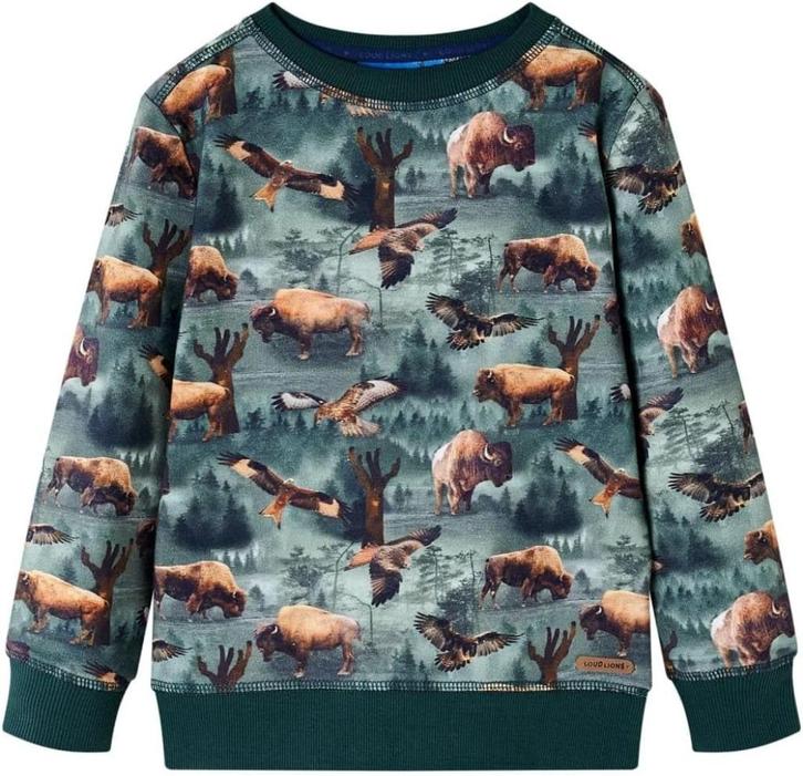 Geweldige SOMEONE sweater met bisons maat 116., Kinderen en Baby's, Kinderkleding | Maat 116, Zo goed als nieuw, Meisje, Trui of Vest