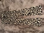 Leopard flair pants, Ophalen of Verzenden