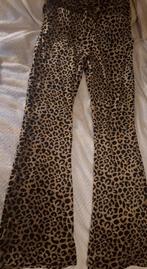Patty brard velours flared panterprint pants mt L, Kleding | Dames, Ophalen of Verzenden, Zo goed als nieuw, Zwart