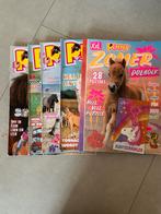 3 penny’s en een zomerboek met posters en sleutelhanger, Ophalen, Gelezen