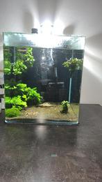 Aquarium Dennerle 60liter, Dieren en Toebehoren, Vissen | Aquaria en Toebehoren, Ophalen, Gebruikt, Gevuld zoetwateraquarium