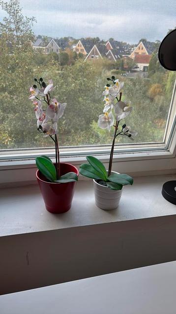 Ikea Fejka 2x incl potten beschikbaar voor biedingen