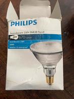 Philips buiten gloeilamp 12cm doorsnee, Huis en Inrichting, Lampen | Losse lampen, Ophalen of Verzenden, Zo goed als nieuw, E27 (groot)