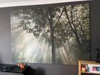 Groot Ikea canvas 200x140 cm - Wanddecoratie, Huis en Inrichting, Woonaccessoires | Schilderijen, Tekeningen en Foto's, Ophalen