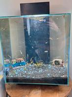 Fluval edge 46 liter, Ophalen, Zo goed als nieuw, Leeg aquarium