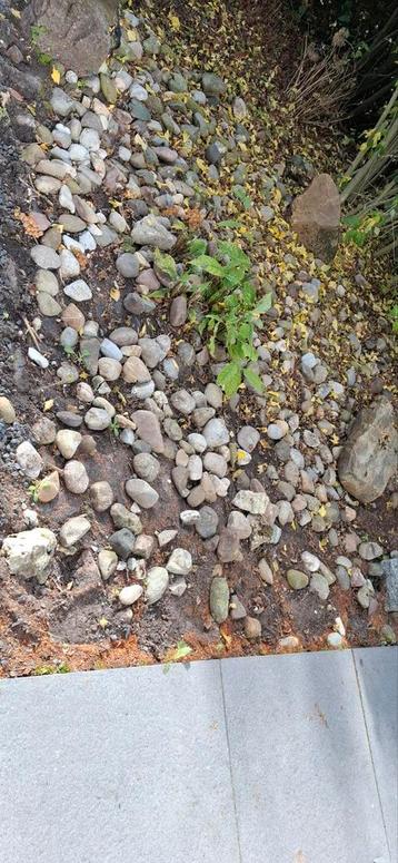 Keien voor Tuin of Landschap beschikbaar voor biedingen
