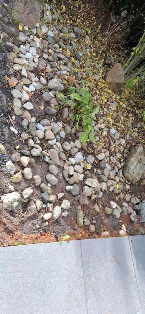 Keien voor Tuin of Landschap, Tuin en Terras, Grind, Keien en Split, Gebruikt, Kei, Grijs, Overige materialen, Ophalen of Verzenden