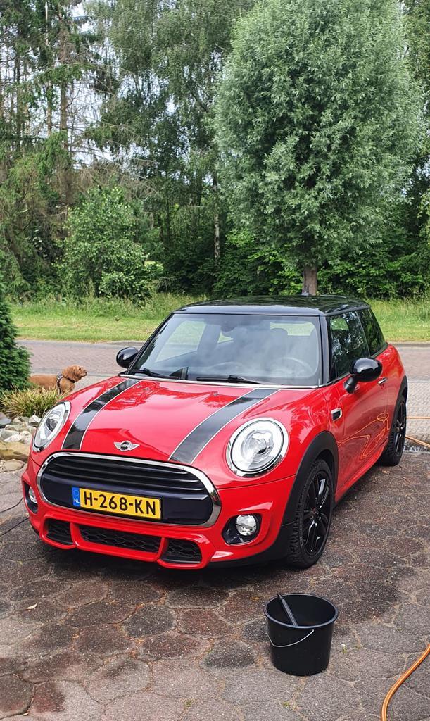 MINI 1.5 Cooper, John Cooper Works uitgevoerd incl navigatie, Auto's, Mini, Particulier, Cooper, ABS, Airbags, Airconditioning