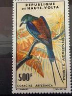 Vogel, opper Volta 1965, Ophalen of Verzenden, Postfris, Dier of Natuur