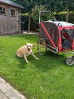 Doggy ride, Ophalen, Zo goed als nieuw