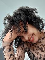 Op zoek naar een woonruimte, Huizen en Kamers