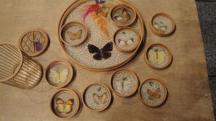 vintage vlinderset dienblad plus  onderzetters, Antiek en Kunst, Curiosa en Brocante, Ophalen of Verzenden