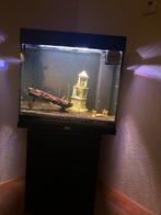 Juwel aquarium lido kubus met onderkast 120 liter, Dieren en Toebehoren, Vissen | Aquaria en Toebehoren, Ophalen, Zo goed als nieuw