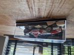 Panasonic Toyota Racing F1, Hobby en Vrije tijd, Modelauto's | 1:43, Ophalen of Verzenden, Nieuw, Auto, MiniChamps