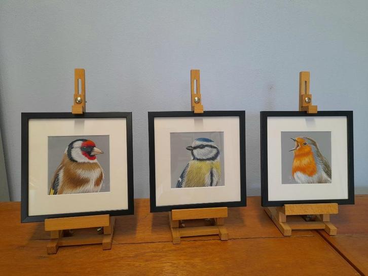 Partij 21 -vogels met lijst - eigen werk - vogelschilderijen, Antiek en Kunst, Kunst | Schilderijen | Klassiek, Ophalen of Verzenden