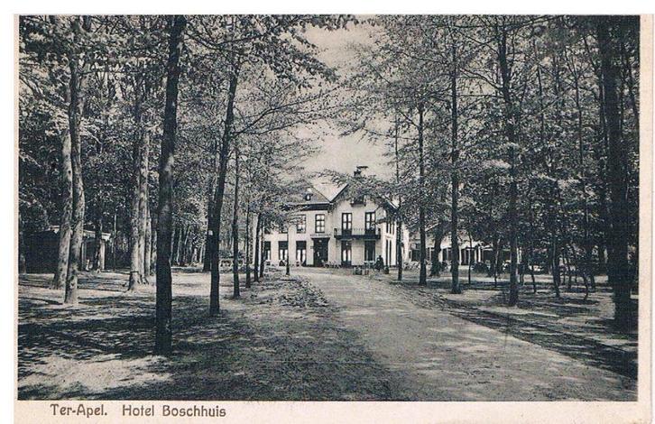Ter Apel. Hotel Boschhuis, Verzamelen, Ansichtkaarten | Nederland, Gelopen, Groningen, 1920 tot 1940, Ophalen of Verzenden