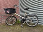 Sterke Azor Bakfiets Hondenfiets Transportfiets Cargobike, Ophalen