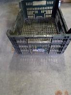 Kunststof Krat - Gebruikt, Gebruikt, 40 tot 60 cm, 50 tot 75 cm, Ophalen of Verzenden