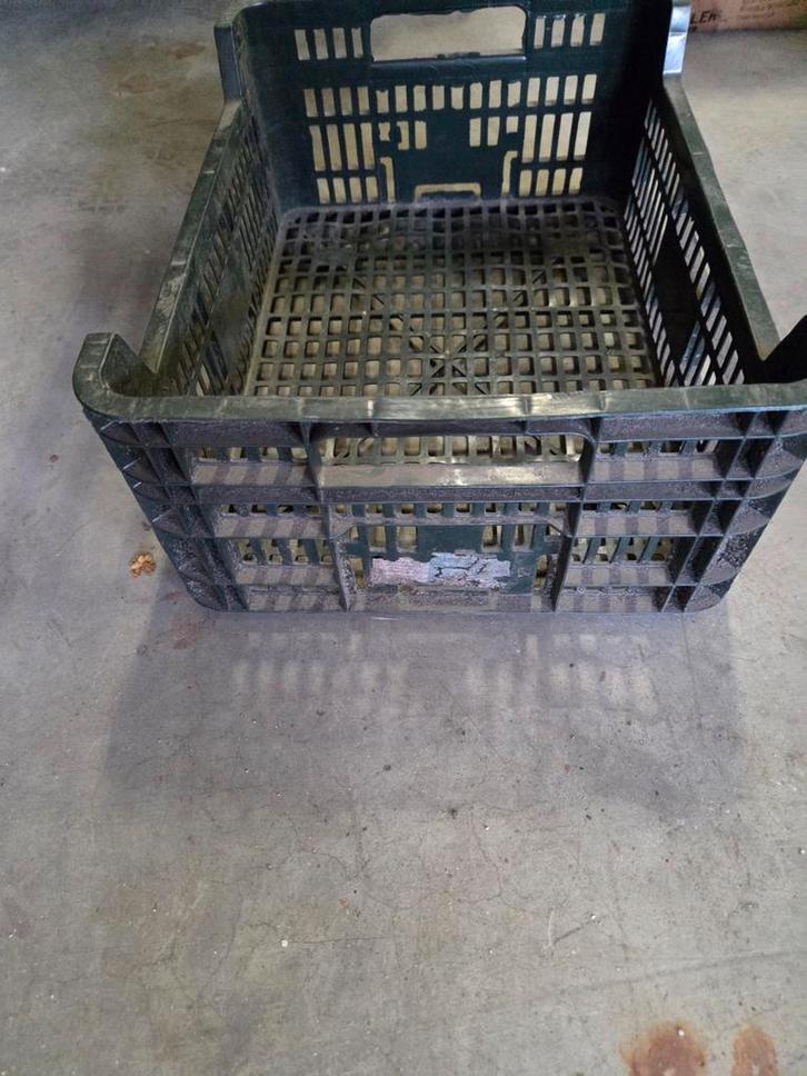 Kunststof Krat - Gebruikt, Doe-het-zelf en Verbouw, Kratten en Dozen, Gebruikt, Krat, 50 tot 75 cm, 35 tot 50 cm, 40 tot 60 cm