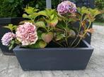 Rechthoekige antraciete tapse bloembak 75x35x25, Tuin en Terras, Bloembakken en Plantenbakken, Ophalen, Tuin, Minder dan 30 cm