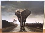 Olifant op canvas, Ophalen, Zo goed als nieuw, 50 tot 75 cm, 75 cm of meer