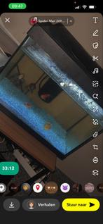 Vissen kom, Ophalen of Verzenden