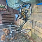 giant dames fiets met mand, Fietsen en Brommers, Fietsen | Dames | Damesfietsen, Ophalen of Verzenden, Gebruikt, Giant, Versnellingen