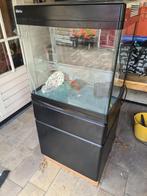 Red Sea MAX 130 L Zeeaquarium + levend riff, Dieren en Toebehoren, Ophalen, Gebruikt, Leeg aquarium
