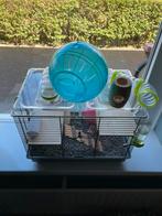 Hamsterkooi, Ophalen of Verzenden, Minder dan 75 cm, Kooi, Minder dan 60 cm