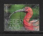 2024, Vogels Bonaire, Rode Ibis [4169] (K1125), Ophalen of Verzenden
