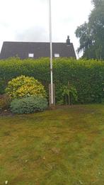 Hovenier aangeboden, Ophalen of Verzenden, Volle zon, Palmboom
