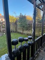 Curlstang, Hastings Dumbells 12 & 17.5 kg, Ophalen, Gebruikt, Armen, Halterset