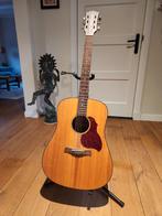 Richwood D 20 akoestische gitaar, zgan, Muziek en Instrumenten, Snaarinstrumenten | Gitaren | Akoestisch, Ophalen, Zo goed als nieuw