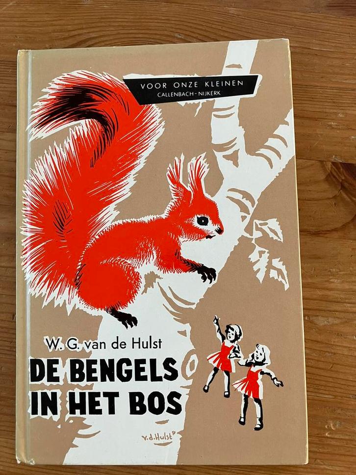 2x boekje door WG van de Hulst, Boeken, Kinderboeken | Jeugd | onder 10 jaar, Gelezen, Ophalen of Verzenden