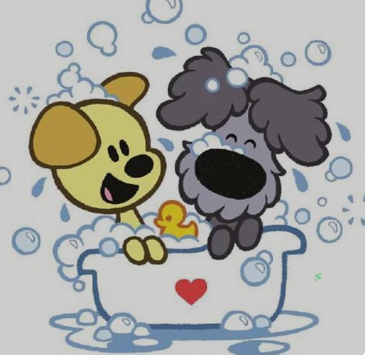 Aangeboden hondentrimster en hondenuitlaatservice, Dieren en Toebehoren, Honden-accessoires, Nieuw, Ophalen of Verzenden