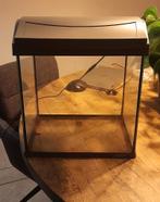 Garnalen aquarium ook te gebruiken als terrarium 35x38x24cm, Ophalen, Gebruikt, Leeg aquarium