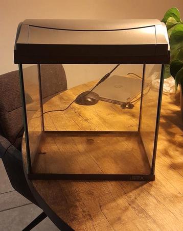Garnalen aquarium ook gebruiken als terrarium 35x38x24cm  beschikbaar voor biedingen