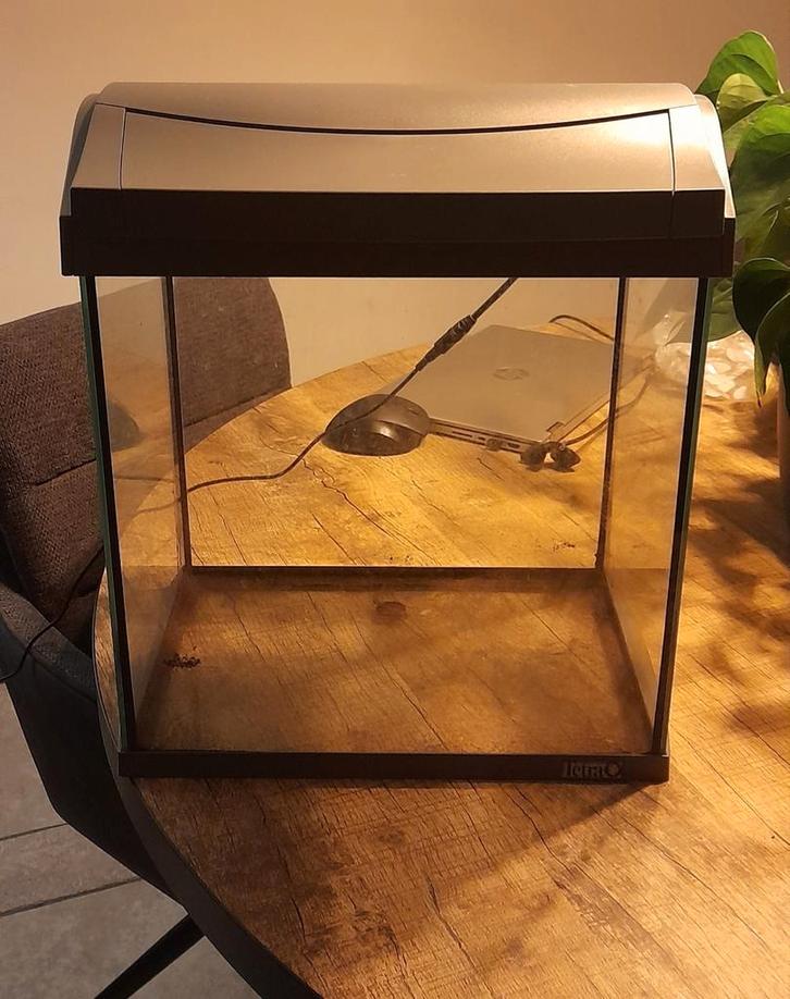 Garnalen aquarium ook gebruiken als terrarium 35x38x24cm, Dieren en Toebehoren, Vissen | Aquaria en Toebehoren, Gebruikt, Leeg aquarium