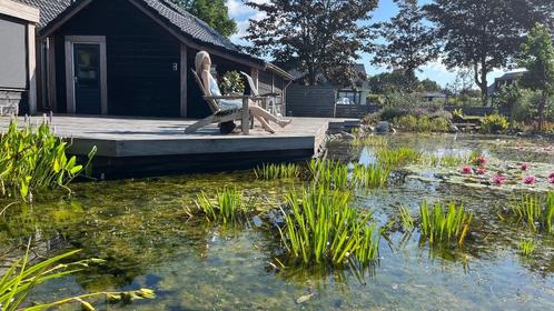 Krabbescheer vijverplant, Tuin en Terras, Vijvers, Nieuw, Ophalen