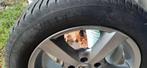 VREDESTEIN WINTERBANDEN 205/55 R16, Auto-onderdelen, Banden en Velgen, Ophalen, 16 inch, 205 mm, Winterbanden