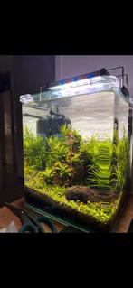 Aquarium nanocube 20L, Dieren en Toebehoren, Ophalen, Gebruikt, Leeg aquarium