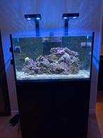 PRIJSVERLAGING Complete en in garantie Red Sea Reefer 250 G2, Dieren en Toebehoren, Vissen | Aquaria en Toebehoren, Ophalen, Zo goed als nieuw