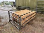 Voerbox schapen, Dieren en Toebehoren, Vrouwelijk, Schaap