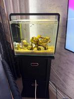 Aquarium met kast, Dieren en Toebehoren, Vissen | Aquaria en Toebehoren, Ophalen of Verzenden, Zo goed als nieuw, Leeg aquarium