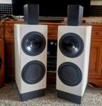 Zware subwoofers met Canton dipool speakers, Audio, Tv en Foto, Luidsprekers, Zo goed als nieuw, 120 watt of meer, Front, Rear of Stereo speakers